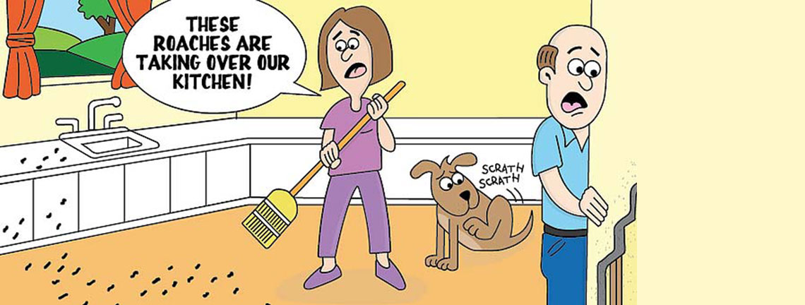 front banner comicstrip