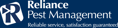 Reliance Pest Control Sydney